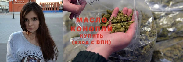 молекула духа Гусиноозёрск