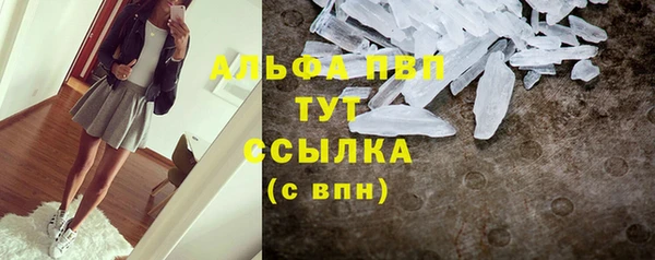 молекула духа Гусиноозёрск