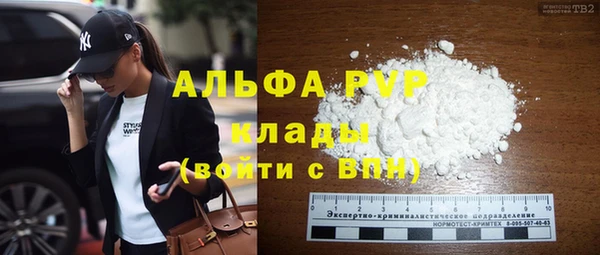 молекула духа Гусиноозёрск