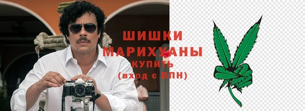 молекула духа Гусиноозёрск
